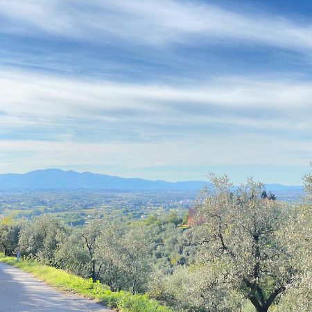 Leonardo Da Vinci - Appartamento Nel Verde Con Parcheggio E Wi-Fi Exterior foto