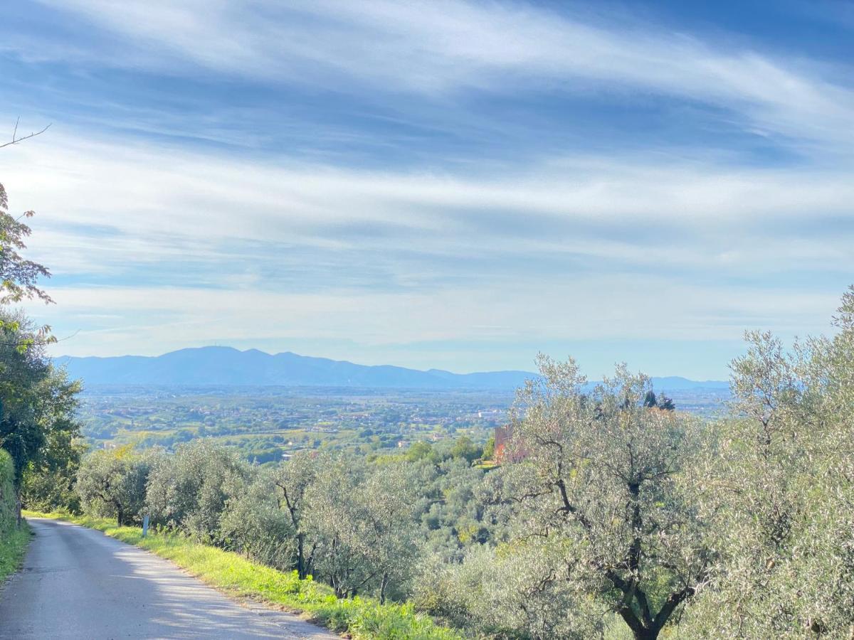 Leonardo Da Vinci - Appartamento Nel Verde Con Parcheggio E Wi-Fi Exterior foto